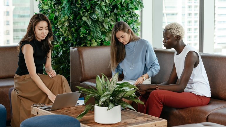 groupe de femmes qui travailles dans un espace avec des plantes